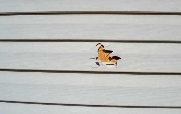 Cost of Siding Hole Patching in Mason