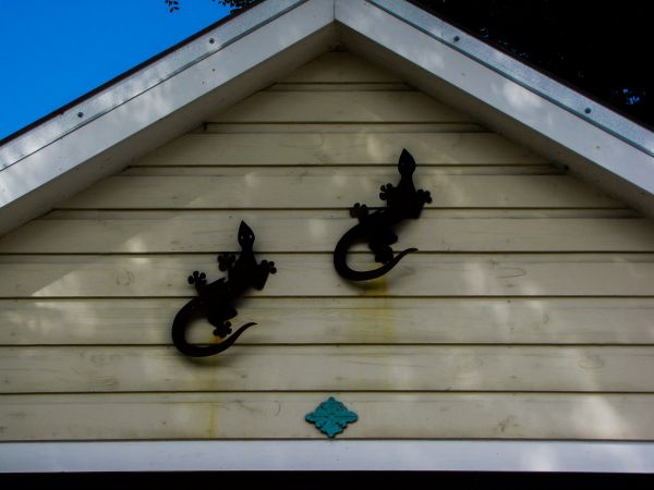 Cost of Shiplap Siding Installation in Mason