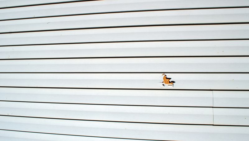 Removing Damaged Vinyl Siding